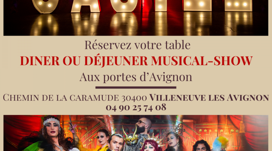 Déjeuners spectacle